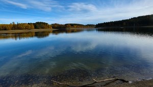 Lac de Butgenbach © P. Fagnoul